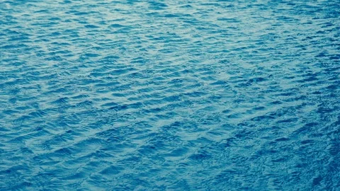 The wind blows over the surface of the pool Stock Footage 99079123