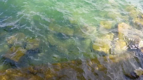 Wind Blows Rocks on the Lake Video stock 308319959