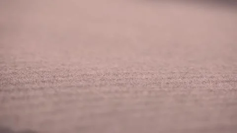 Wind blows sand. Close-up. Desert. Beach. Stock Footage 299945605