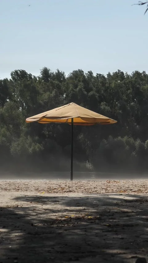 Wind blows the sand on an empty beach. Sun umbrellas sway in the wind Stock-Footage 341658886