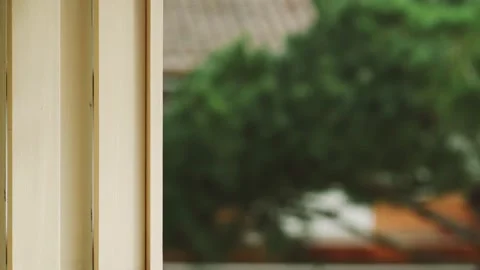 The wind blows a thai fish shape windmill. Green pine branches swaying in the Stock Footage 179435035