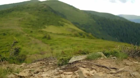 Wind Blows through the Green Hills 스톡 동영상 58574600