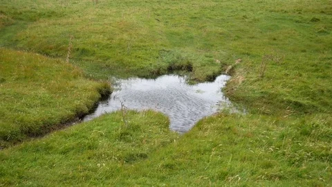 Wind blows through pond Video stock 79628523