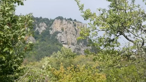 The wind blows tree branches in the forest in the rocks Stock-Footage 128001632