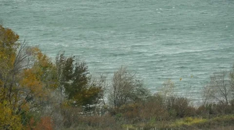 Wind blows trees and water Stock Footage 54706555