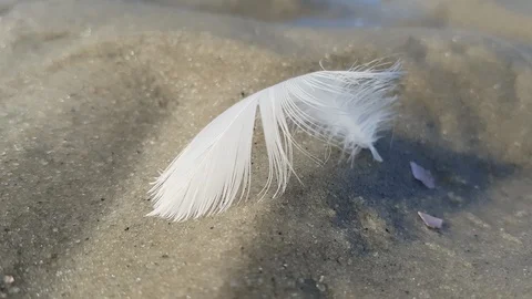 The wind blows the white feather by the sand. It flies away with wind (6 sec) Stock Footage 121167398