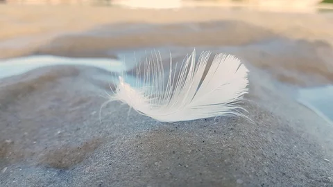 The wind blows the white feather by the sand and it rolled onto its side. Stock Footage 121168934
