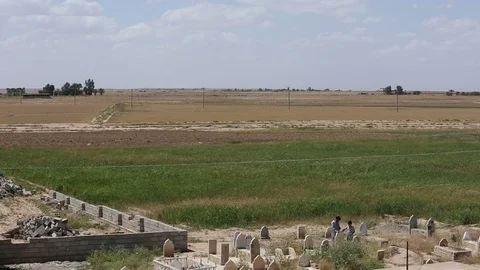 Wind bolows on a wheat field besides cemetery at Amerli in Iraq Stock Footage 120382031
