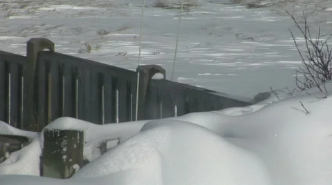 Wind Breaks Stock Footage 54727608