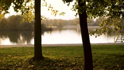 Wind breeze blowing at trees in Jarun lake during autumn, Zagreb, Croatia. Stock Footage 145966094