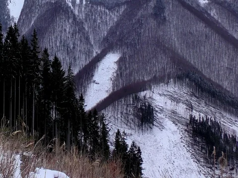 Wind calamity in Malá Fatra. Stock-Footage 84972863