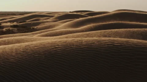 Wind carries sand in the desert, forming dunes. Patterns on the sand and shadows Stock Footage 149934584