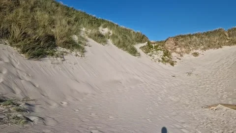 Wind-Carved Sand Dune Face with Marram Grass near Billund, Jutland, Denmark Stock Footage 335539494