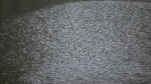 Wind causes surface to ripple and change direction (High Definition) Video stock 69268