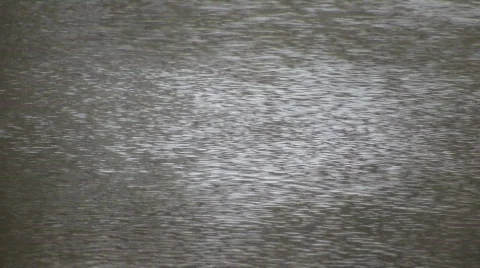 Wind causes surface to ripple and change direction (High Definition) Stock Footage 69269