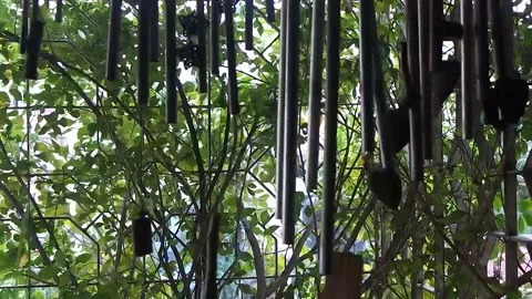 Wind chime Stock Footage 156867526