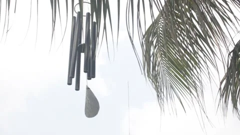 Wind chime hung  from a coconut tree 库存影片 331278083