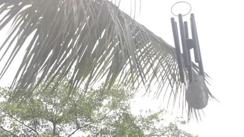 Wind chime hung in coconut tree Stock Footage 331278086