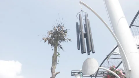 Wind chime in outdoor Stock Footage 331278013