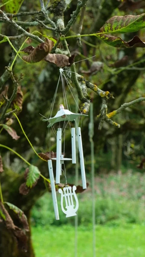 Wind Chime on Walnut Tree in Autumn, Meditation and Relaxation Concept. Stock Footage 318524541