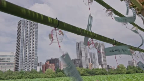 Wind Chimes on Bamboo Pole with City High-Rise Buildings Behind Stock Footage 344006472
