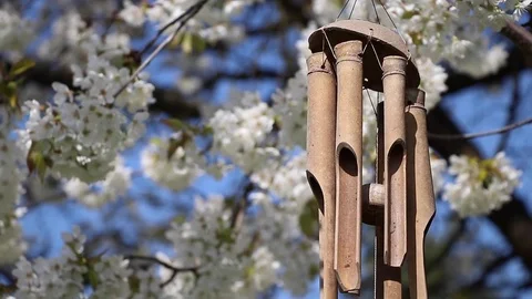 Wind chimes hanging in a blooming tree Stock Footage 74735035