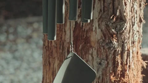 Wind chimes hanging on a redwood tree Stock Footage 303440499