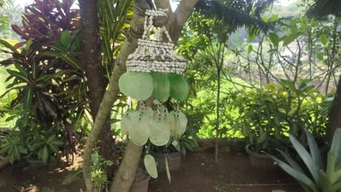 Wind Chimes made from Sea Shells Video stock 285096719