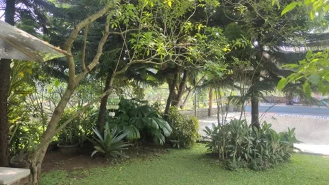 Wind Chimes made from Sea Shells 스톡 동영상 285096722