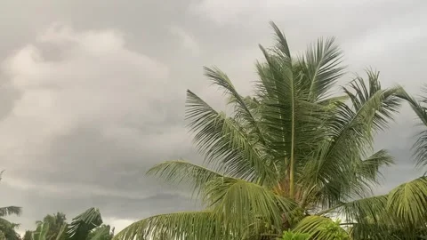 Wind cloud in the rainy day Video stock 251528887