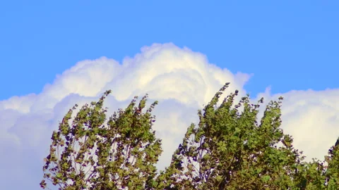 Wind, clouds and trees in timelapse - 4K - ProRes Stock Footage 162736572