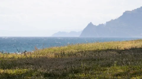 Wind on the coast of Eastern Sicily Stock Footage 110906271