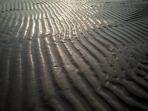 Wind Comb on the sand dunes. Stock Photos