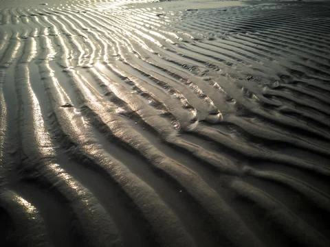 Wind Comb on the sand dunes. Stock Photos