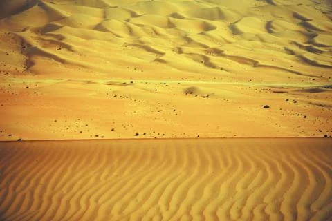 Wind created patterns in the sand dunes of Liwa oasis, United Arab Emirates Foto stock