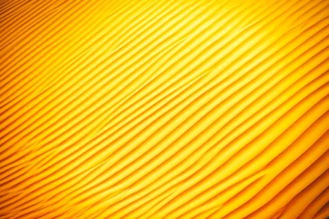 Wind created patterns in the sand dunes of Liwa oasis, United Arab Emirates Stock Photos