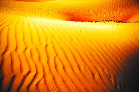 Wind created patterns in the sand dunes of Liwa oasis, United Arab Emirates Stock Photos
