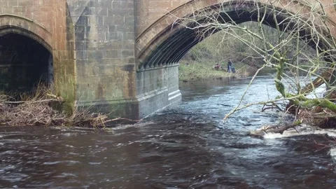 Wind Damaged Tree Stuck On Old Stone Bridge UK Stock Footage 166930743