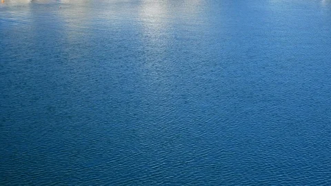 Wind dance on the water surface Stock Footage 93241572