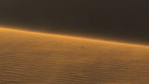 Wind in the desert. Three shots! Stock Footage 95248876