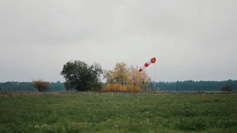 Wind direction indicators sway gently in the breeze near a cluster of trees and 库存影片 329201738