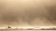 Wind Driven Sandstorm Blowing Over Desolate Flats With Glow 4K Stock Footage