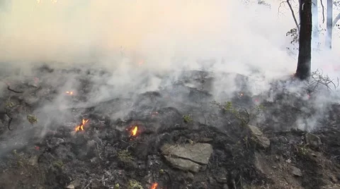 Wind driven smoke on burned out ground Stock Footage 40955466