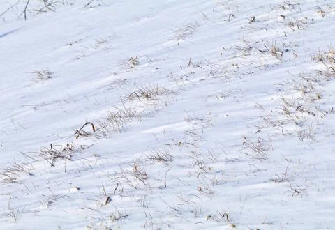 Wind Driven Snow Field Stock Photos