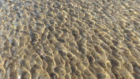 The wind drives ripples through a puddle on a sunny day. Stock Footage 254435048