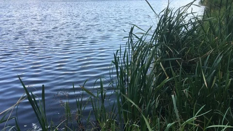 The wind drives the waves through the water Stock Footage 119107560