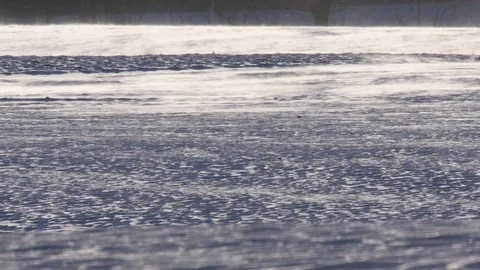 Wind driving snow across a field, snow drift Stock Footage 86635538