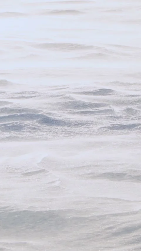 The wind is driving snow across the snow cover. Cold winter. Stock Footage 293138030