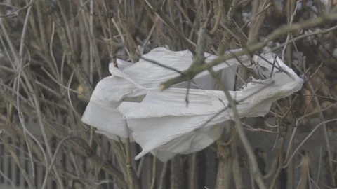 Wind In The Dry Branches with an old destroyed plastic bag Stock Footage 100888545