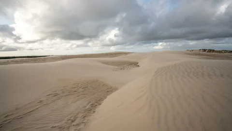 Wind Dunes At Rabjerg Mile In Northern Denmark - Timelapse Stock Footage 296325317